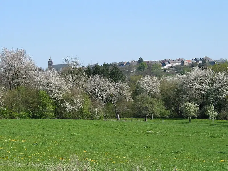 Beaumont (Hainaut) (Belgique),la cité au printemps