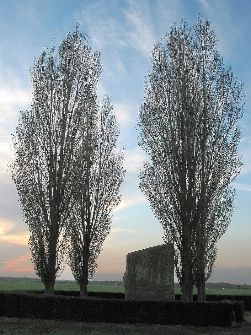Brunehaut, Province de Hainaut (Belgique), la Pierre Brunehaut (mégalithe)