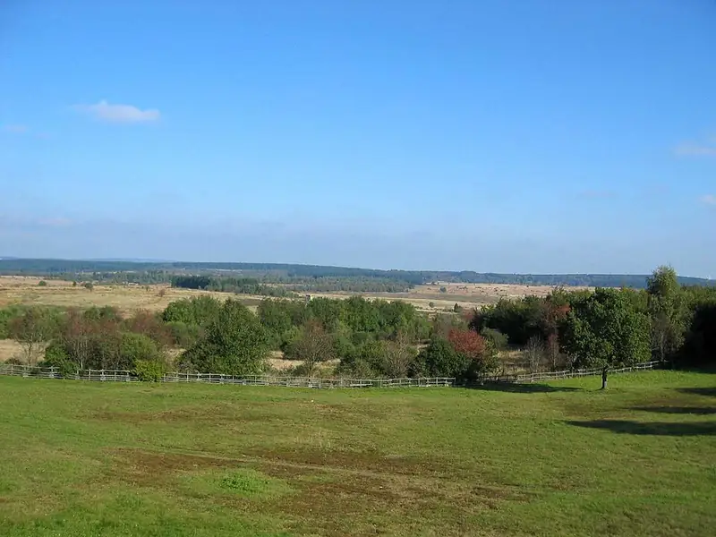 Blick von Elsenborn auf den Übungsplatz