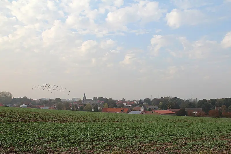 Ere (Belgique), panorama vu depuis les champs de culture situés à l'est du village