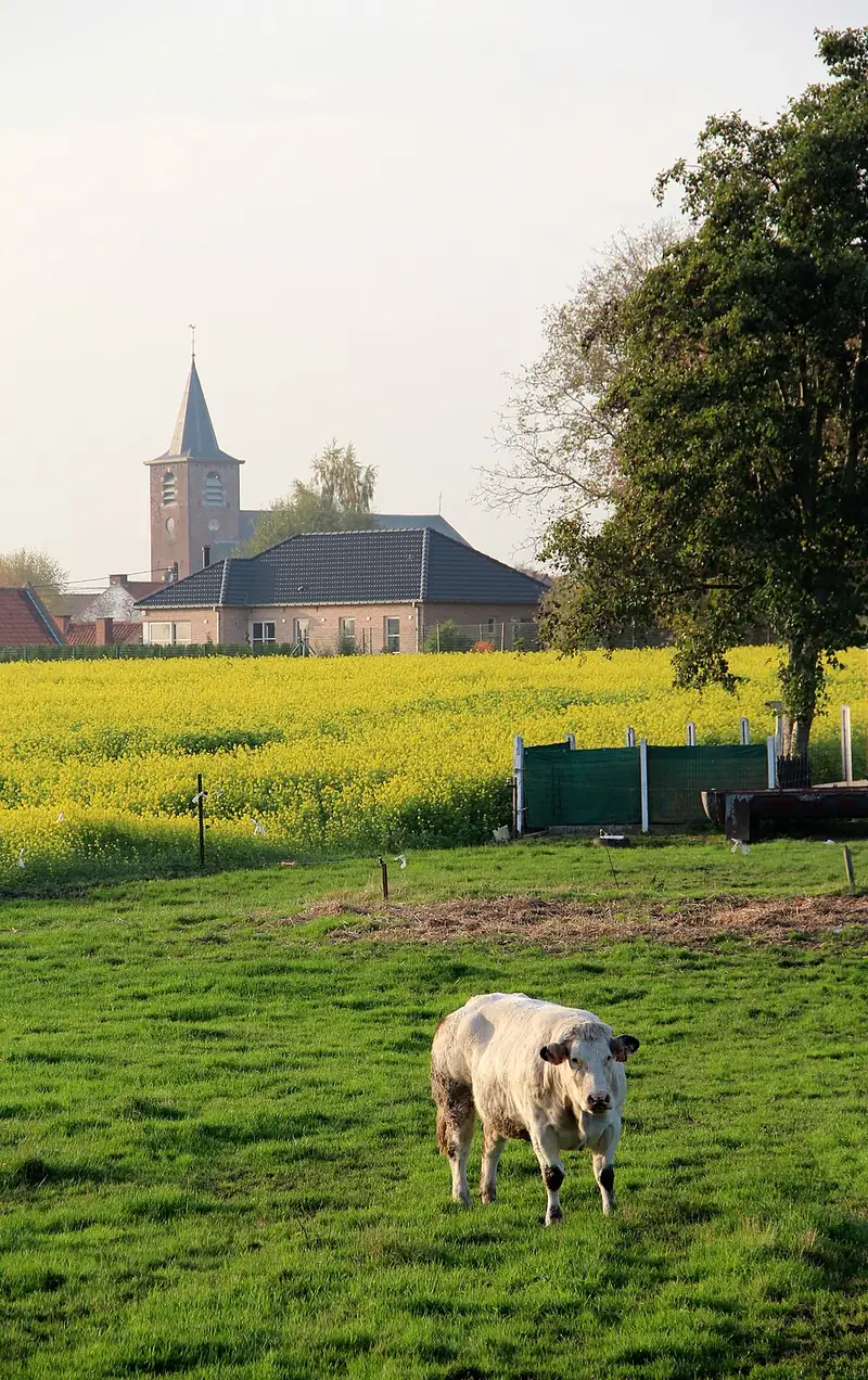 Esplechin (Belgique), panorama vu depuis les champs bordant la rue du Pont d'Eau situés au sud-est du village