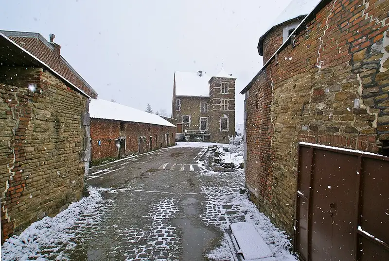 Flémalle (Mons-lez-Liège), Belgique: Restes du château