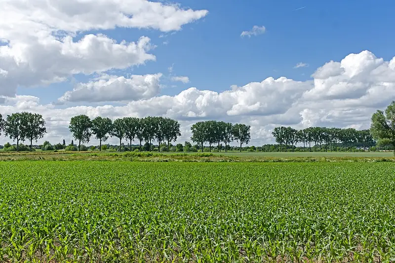 Vue de Pottes