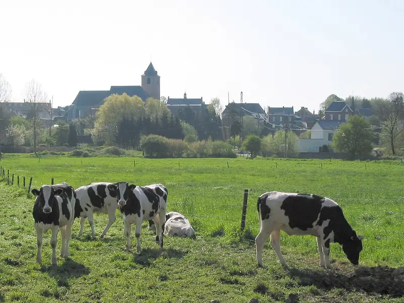 Solre-sur-Sambre (Belgique), le village au printemps