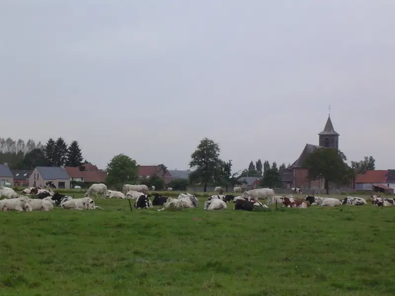 Vue sur le village de Tourpes